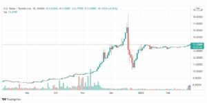 تحليل دولار تركي 24/2