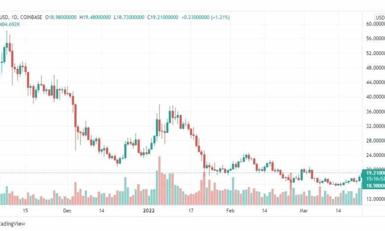 تحليل عملة انترنت كمبيوتر ICP 24/3