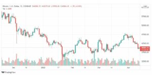 تحليل البتكوين دولار 13/4