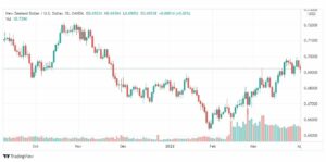 تحليل النيوزلندي دولار 4/4