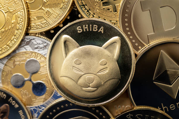 dogecoin and shiba inu