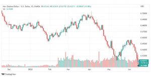تحليل النيوزلندي دولار-NZD-USD-15-6-2022