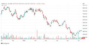 تحليل سهم بوينج-BA-STOCK-14-6-2022