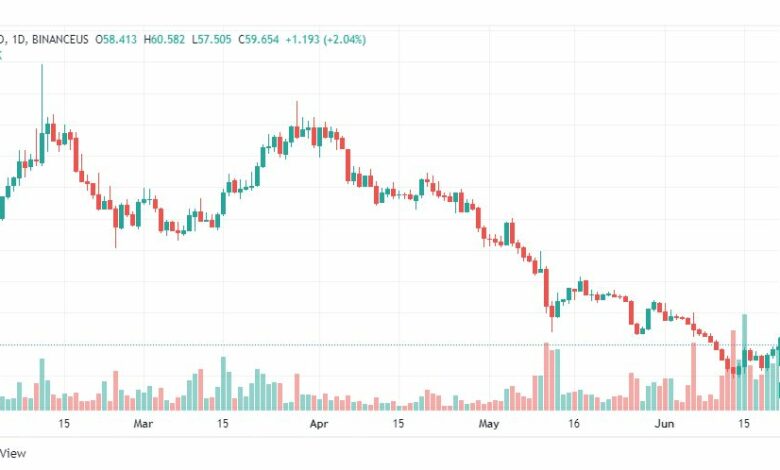 تحليل عملة EGLD-COIN-22-6-2022