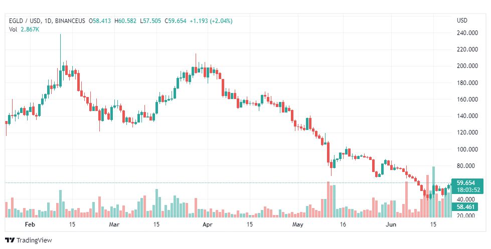 تحليل عملة EGLD-COIN-22-6-2022