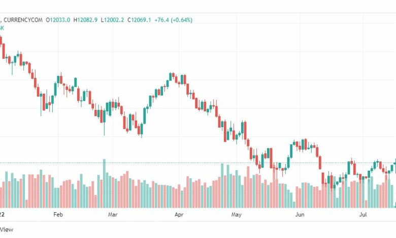 تحليل ناسداك الفني-US100-NASDAQ-18-7-2022