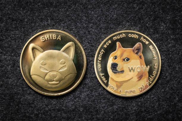 زادت العناوين النشطة لـ Dogecoin ($ DOGE) و Shiba Inu ($ SHIB) بأكثر من 30٪.