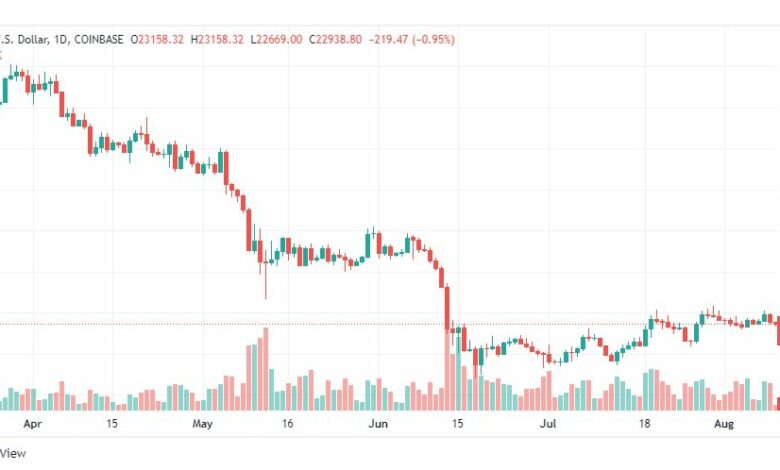 تحليل البتكوين دولار-BTC-USD-10-8-2022