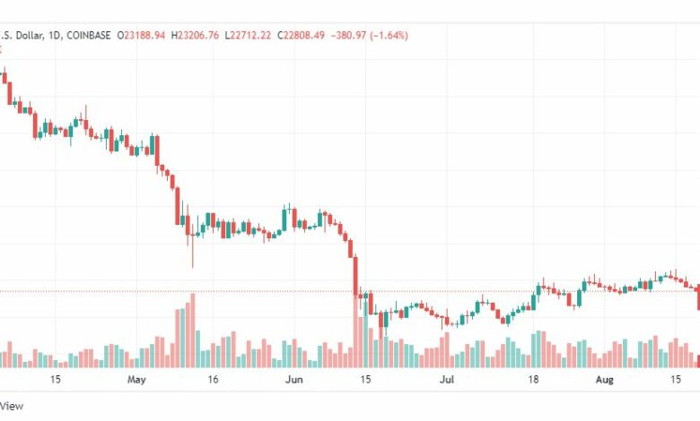 تحليل البتكوين دولار-BTC-USD-19-8-2022