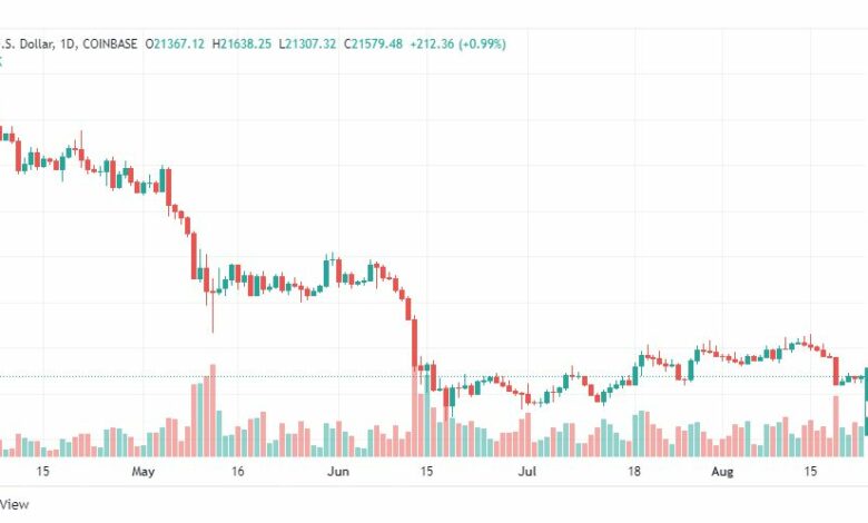 تحليل البتكوين دولار-BTC-USD-25-8-2022
