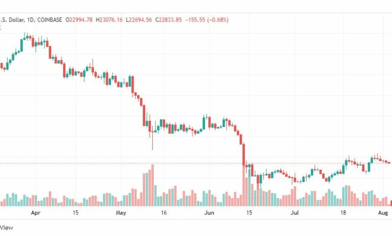 تحليل البتكوين دولار-BTC-USD-3-8-2022