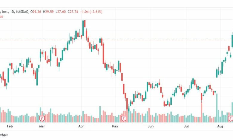 تحليل سهم بلج باور-BLUGPOWER-STOCK-BP-STOCK-12-8-2022