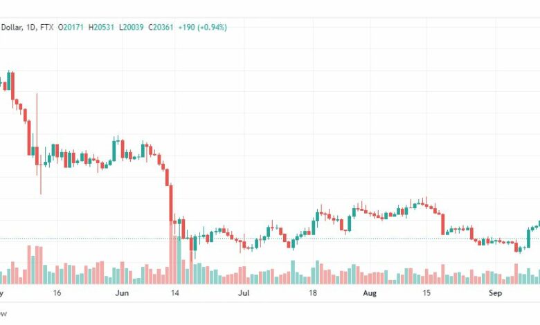 تحليل البتكوين دولار-BTC-USD-14-9-2022