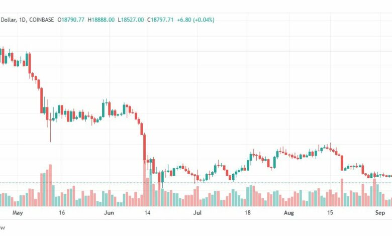 تحليل البتكوين دولار-BTC-USD-7-9-2022