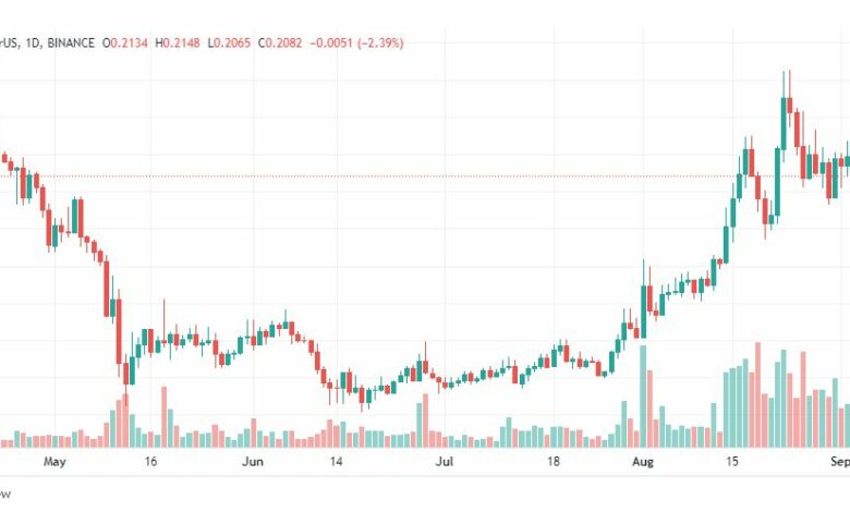 تحليل عملة تشيليز-CHZ-CHILIZ-USD-COIN-5-9-2022