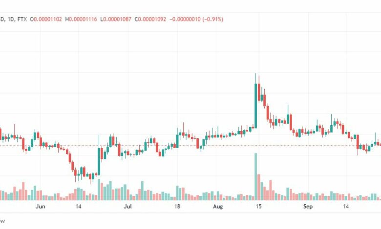 تحليل عملة شيبا-SHIB-SHIBA-INU-COIN-26-9-2022