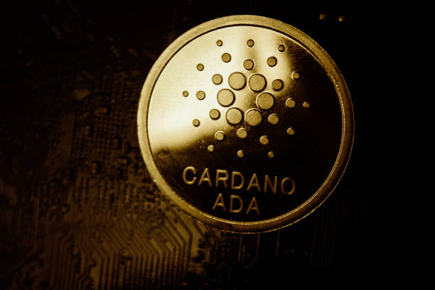 مع اقتراب Vasil Hard Fork ، أصبحت Cardano ($ ADA) من أكبر الشركات القابضة لـ BNB Whales.