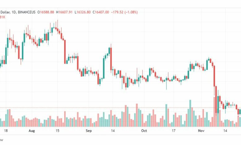 تحليل البتكوين دولار-BTCUSD-25-11-2022