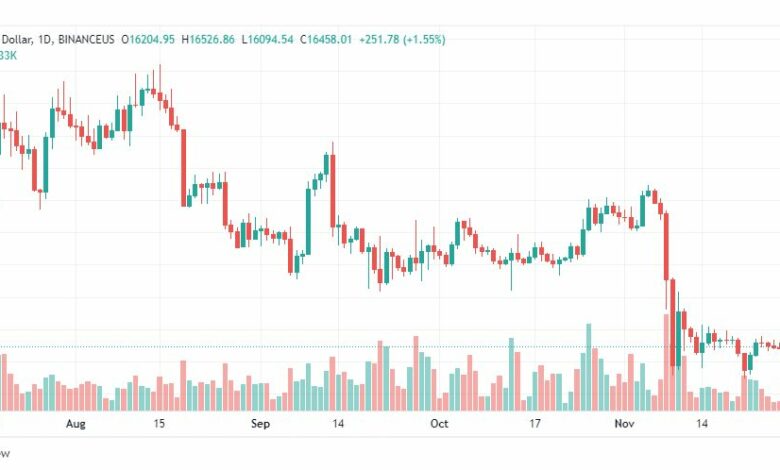 تحليل البتكوين دولار-BTCUSD-29-11-2022