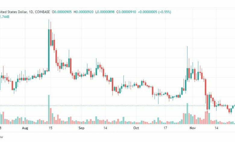 تحليل عملة شيبا اينو-SHIB-SHIBAINU-COIN-24-11-2022