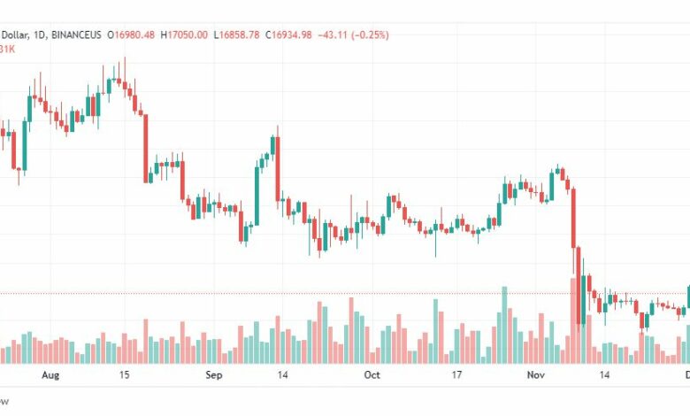 تحليل البيتكوين دولار-BTCUSD-2-12-2022