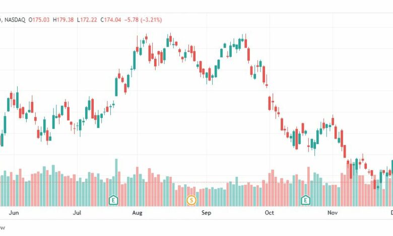 تحليل سهم تسلا-TSLA-TESLA-STOCK-8-12-2022