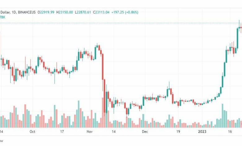 تحليل البيتكوين دولار-BTCUSD-24-1-2023