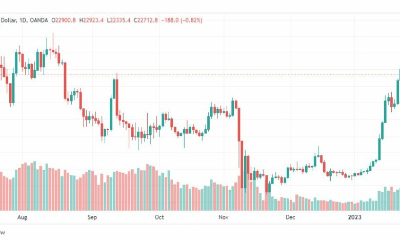 تحليل البيتكوين دولار-BTCUSD-25-1-2023