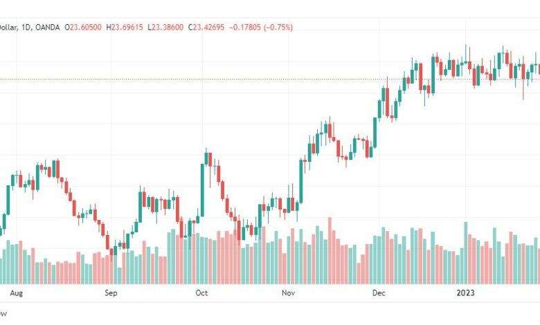 تحليل الفضة-XAGUSD-SILVER-31-1-2023