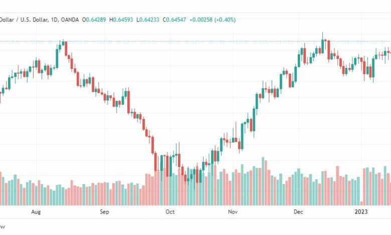 تحليل النيوزلندي دولار-NZDUSD-18-1-2023