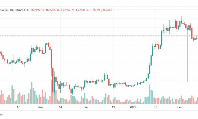 تحليل البيتكوين دولار-BTCUSD-15-2-2023