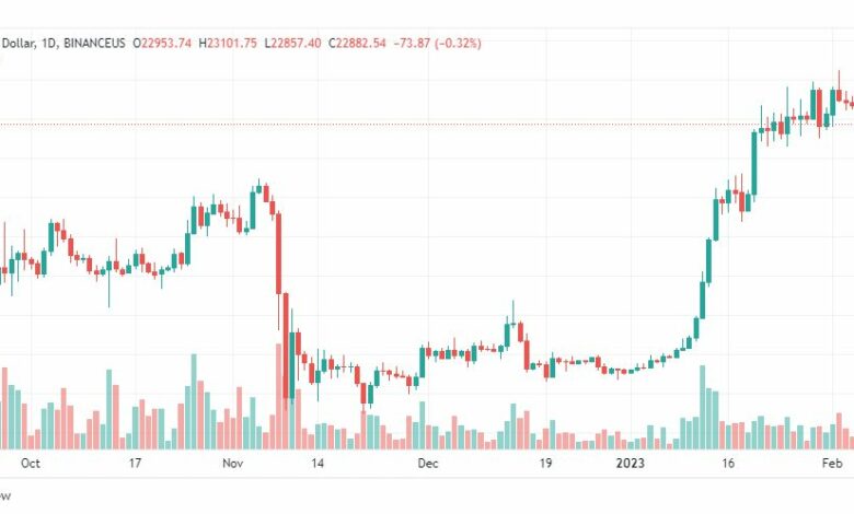 تحليل البيتكوين دولار-BTCUSD-6-2-2023