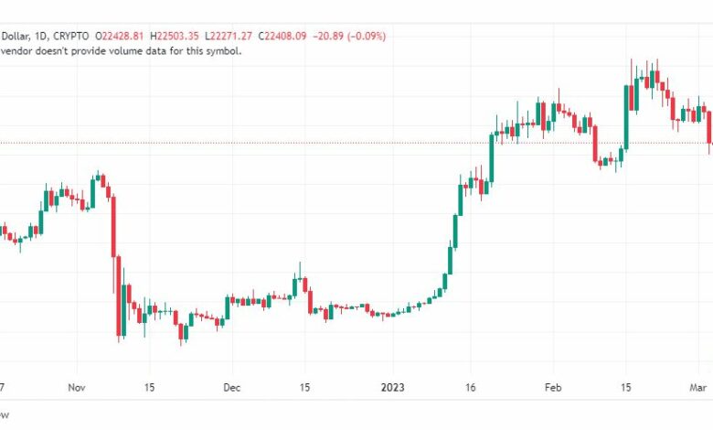 تحليل البتكوين دولار-BTCUSD-COIN-6-3-2023