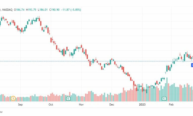 تحليل سهم تسلا-TSLA-TESLA-STOCK-3-3-2023