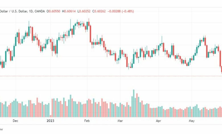 تحليل الدولار النيوزلندي-NZDUSD-30-5-2023