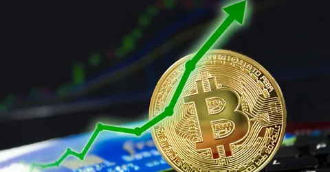 تحليل سعر البتكوين BTC تشهد ارتفاعًا آخر إلى 30 ألف دولار