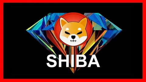 تم تعيين Shiba Inu (SHIB) لتجربة اختراق كبير