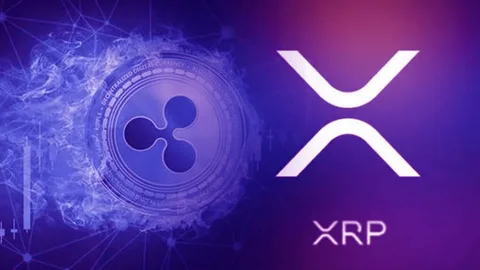 شاهد سعر XRP المستويات الرئيسية للمتداولين