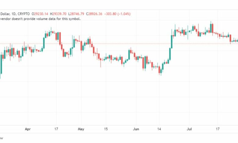 تحليل البتكوين دولار-BTCUSD-1-8-2023
