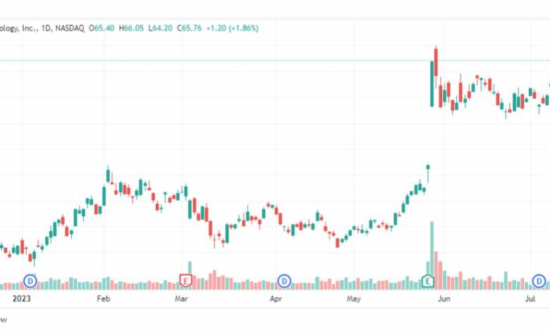 تحليل سهم مارفل تكنولوجي-MRVL-STOCK-19-7-2023