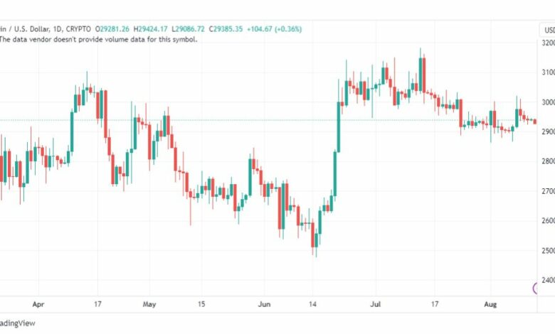 تحليل البتكوين دولار-BTCUSD-14-8-2023