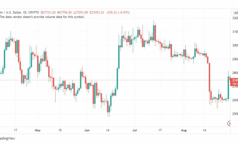 تحليل البتكوين دولار-BTCUSD-30-8-2023