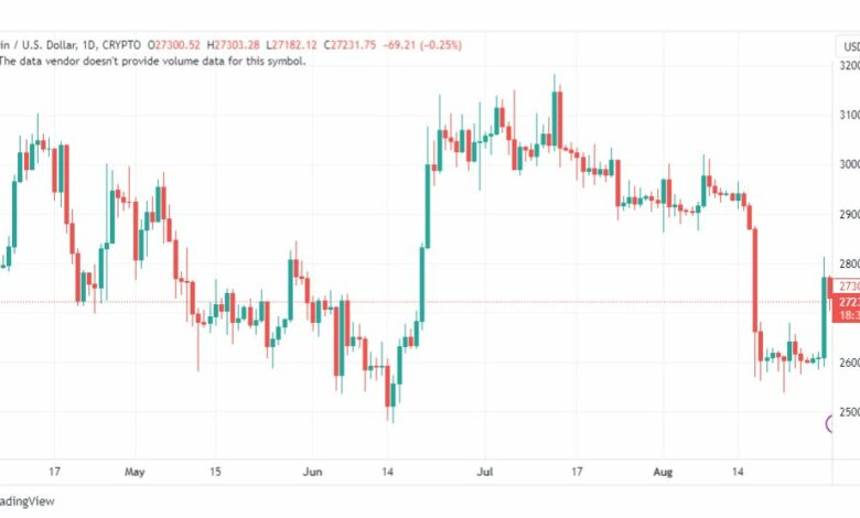 تحليل البتكوين دولار-BTCUSD-31-8-2023