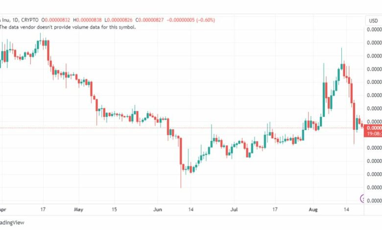 تحليل عملة شيبا اينو-SHIBAINU-SHIBUSD-COIN-21-8-2023