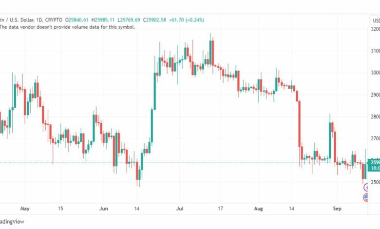 تحليل البتكوين دولار-BTCUSD-13-9-2023