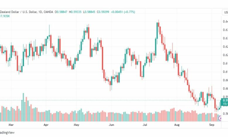 تحليل الدولار النيوزلندي-NZDUSD-11-9-2023