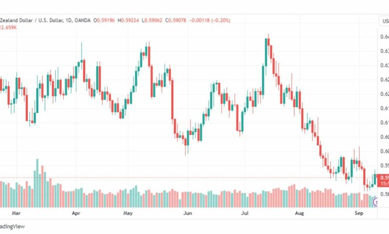 تحليل الدولار النيوزلندي-NZDUSD-12-9-2023