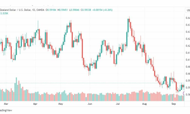 تحليل الدولار النيوزلندي-NZDUSD-14-9-2023