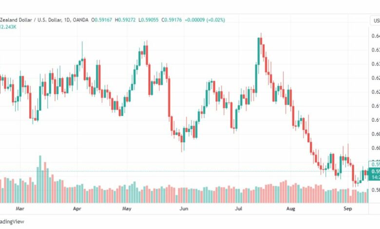 تحليل الدولار النيوزلندي-NZDUSD-19-9-2023