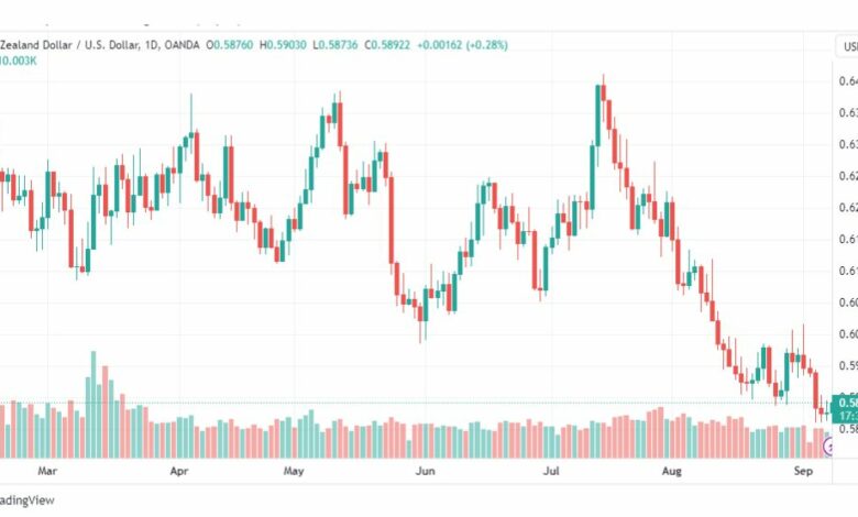 تحليل الدولار النيوزلندي-NZDUSD-8-9-2023